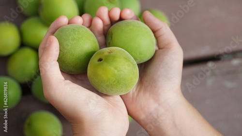 Some greens plums on child's hand