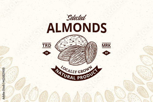 Vector almonds vintage logo. Almonds seeds and shells illustration