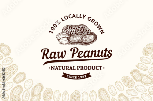 Vector peanuts vintage logo. Peanut seeds and shells illustration