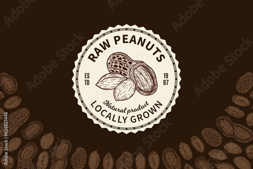 Vector peanuts logo design template. Peanut seeds and shells illustration