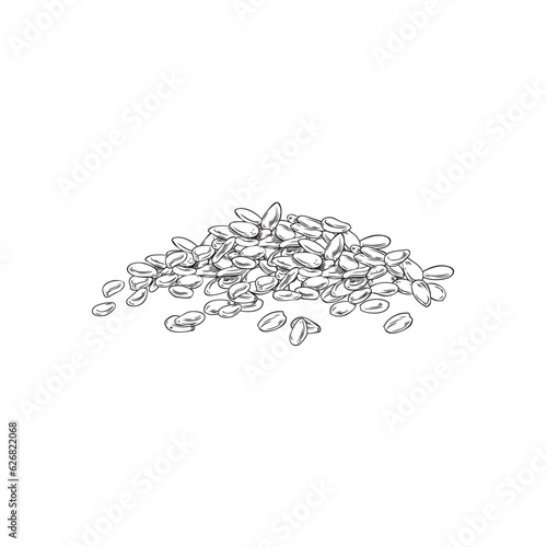 Sesame seeds pile engraved vector, hand drawn black contour sketch of spices, natural condiment, dry grain, corns