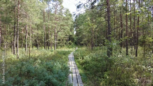 Walking on wooden plank path thru green lush forest 4k
