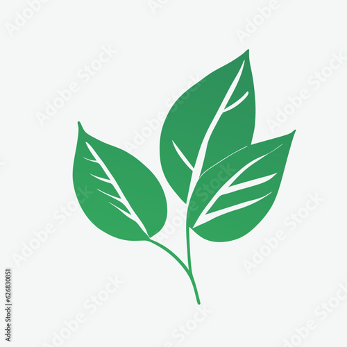 watercolor hand drawn green leaves with sketches vector