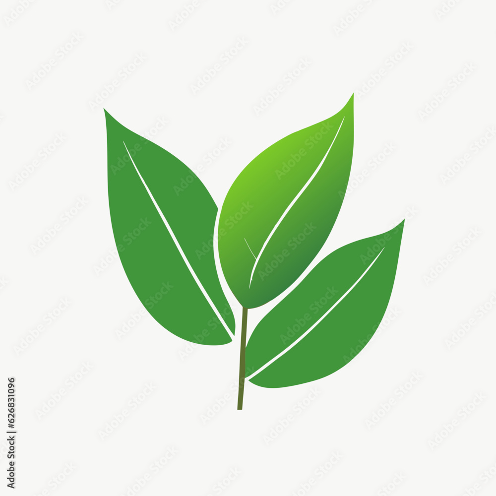 Fototapeta premium watercolor hand drawn green leaves with sketches vector