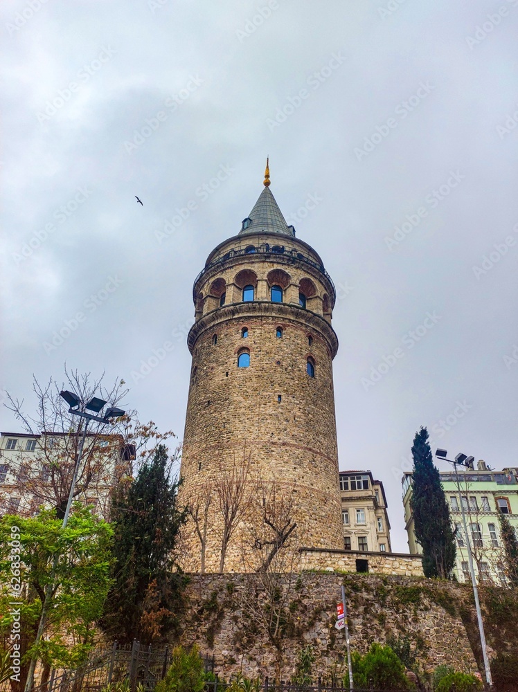 Obraz premium tower