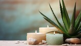 Spa concept. Candles on a blurred background. Decor from natural stems of aloe
