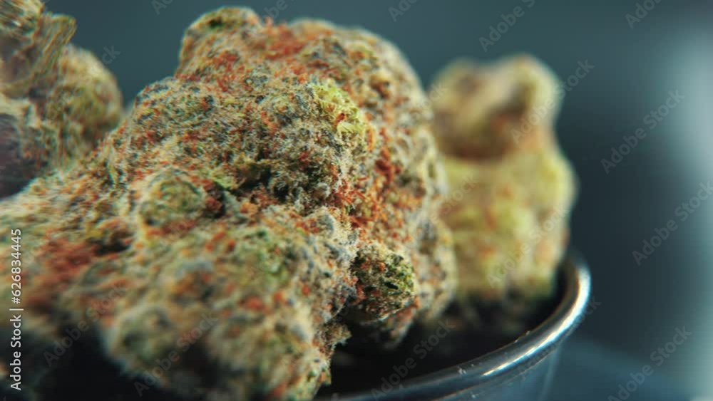 A macro cinematic detailed shot of a cannabis plant, hybrid strains, Indica and sativa ,marijuana flower, on a 360 rotating stand, black shiny bawl, slow motion, 4K video, studio light A macro cinematic detailed shot of a cannabis plant, hybrid strains, Indica and sativa ,marijuana flower, on a 360 rotating stand, black shiny bawl, slow motion, 4K video, studio light