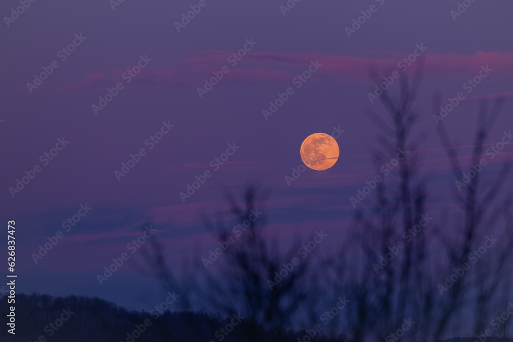 Naklejka premium Mystical landscape with full moon rise in the cold season. The natural satellite of the earth observed at sunset among the colored clouds