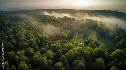 Aerial view of green forest. Beautiful nature landscape in the morning © Barosanu