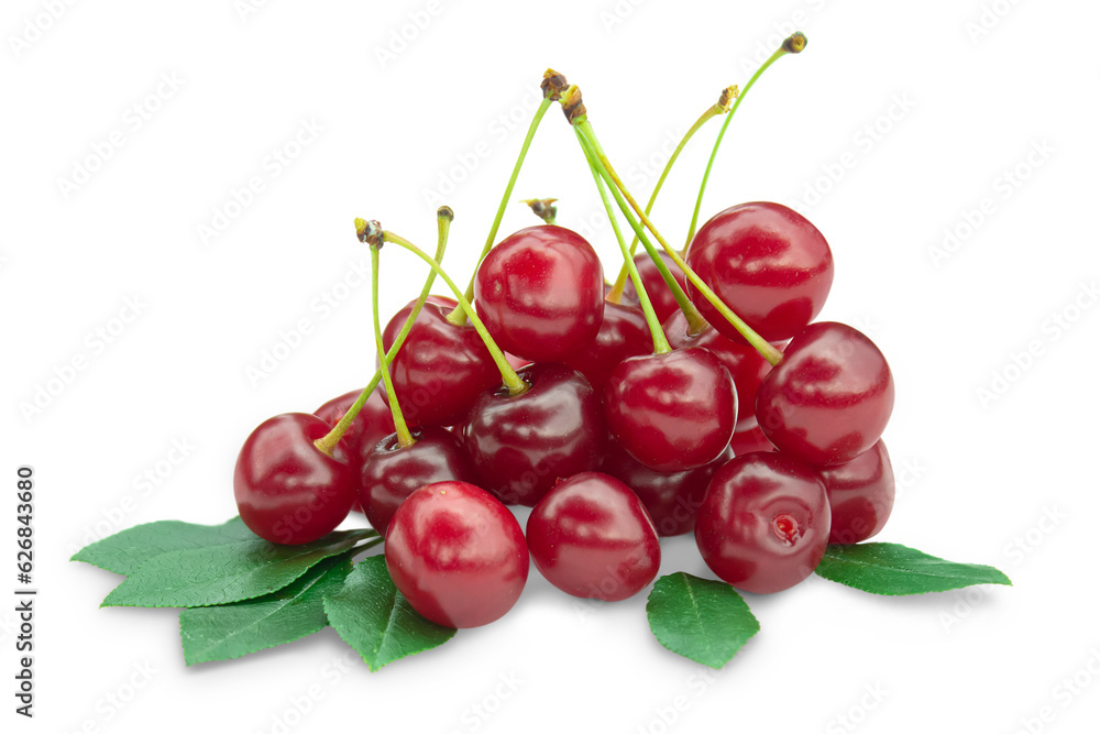 Bunch of ripe fresh cherries with green foliage isolated on transparent background. Bunch of ripe fresh cherries with green foliage isolated on transparent background.