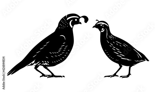 Quail Birds, Male and Female Silhouette