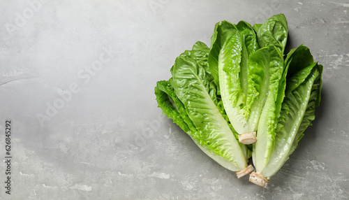 Fresh green romaine lettuces on light grey table, top view. Space for text