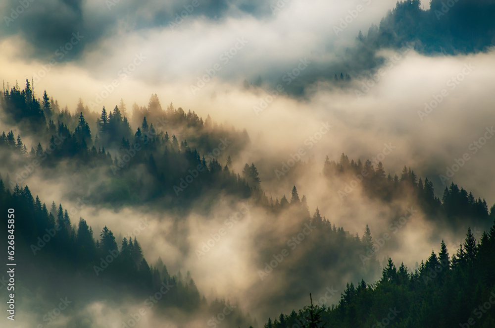 Fototapeta premium Misty mountain landscape