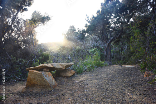 landscape portrait of hiking trails along cape pillar, apart of the three cape trek in Tasmania, Australia.