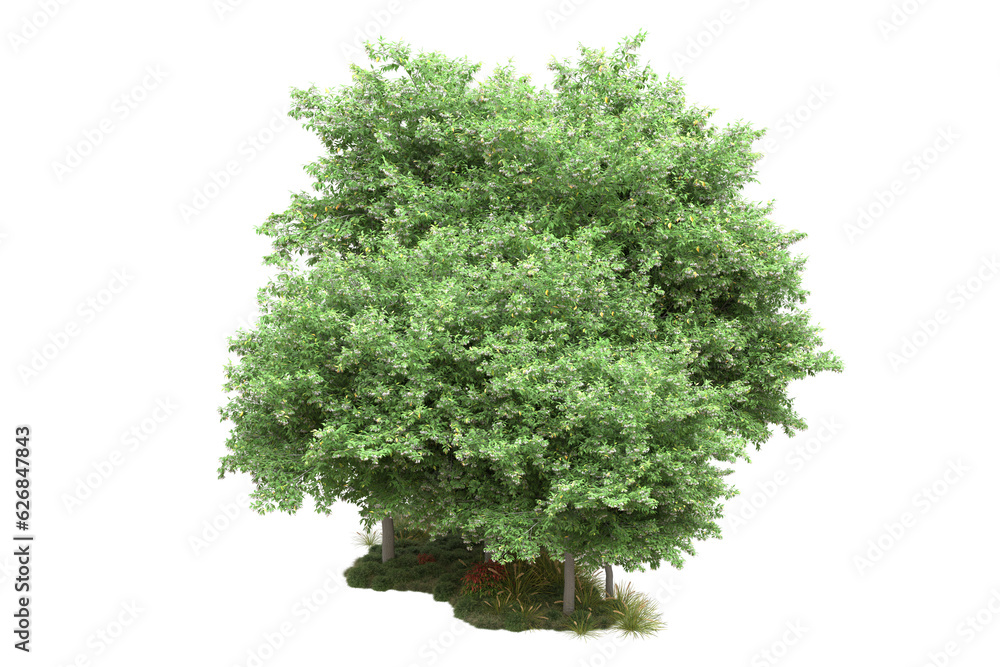 Fototapeta premium Green landscape isolated on transparent background. 3d rendering - illustration