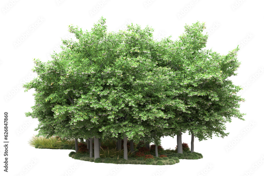 Fototapeta premium Green landscape isolated on transparent background. 3d rendering - illustration