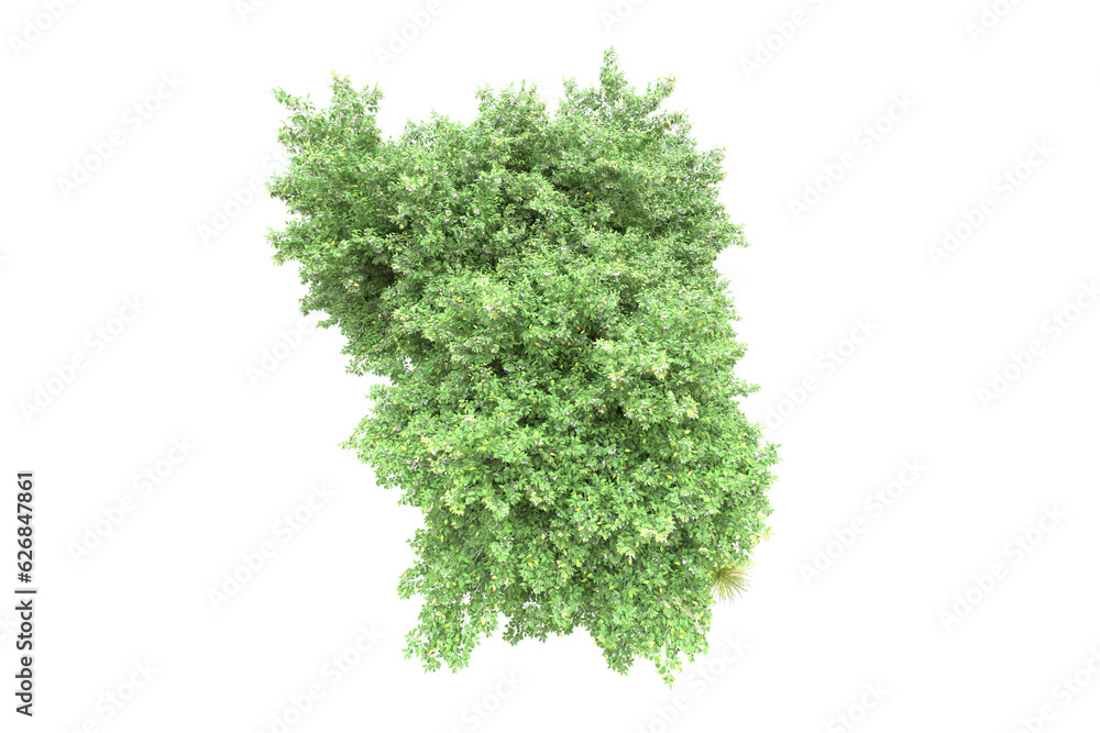 Fototapeta premium Green landscape isolated on transparent background. 3d rendering - illustration