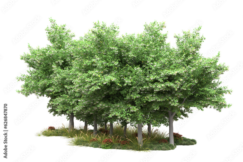 Fototapeta premium Green landscape isolated on transparent background. 3d rendering - illustration