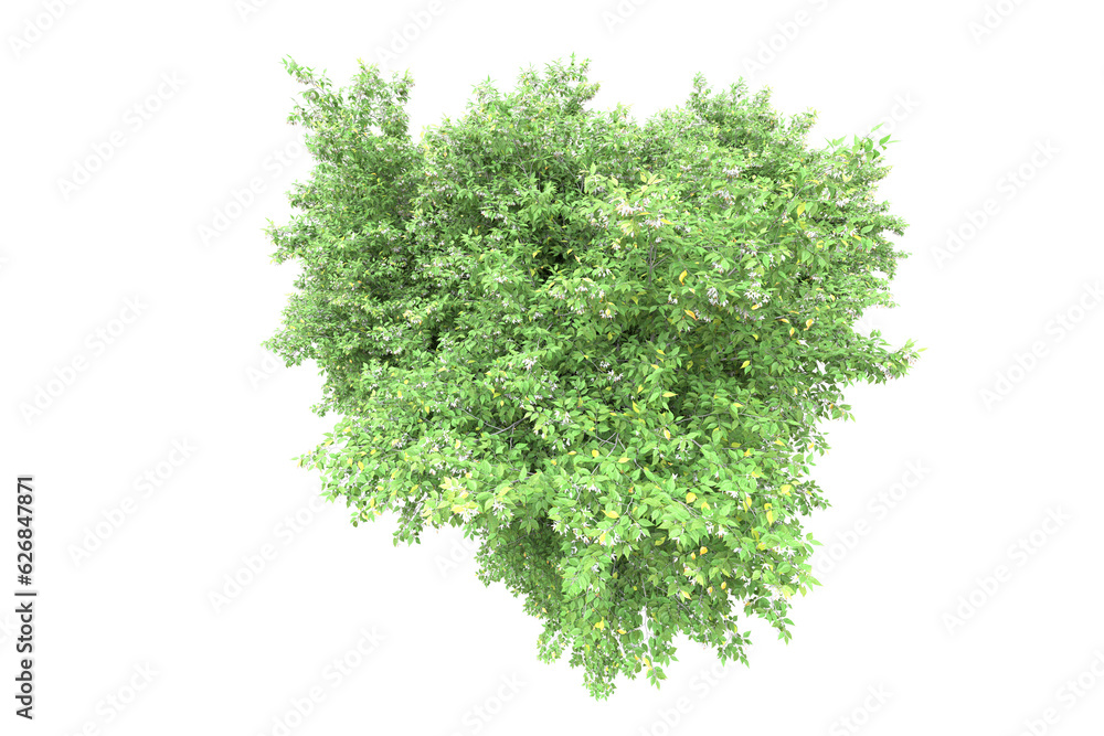 Fototapeta premium Green landscape isolated on transparent background. 3d rendering - illustration