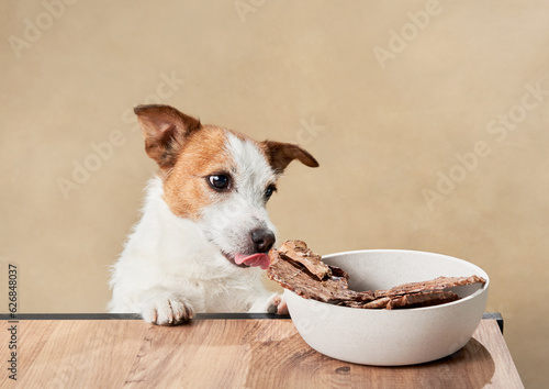 Fotografie, Tablou the dog steals the treat from the bowl