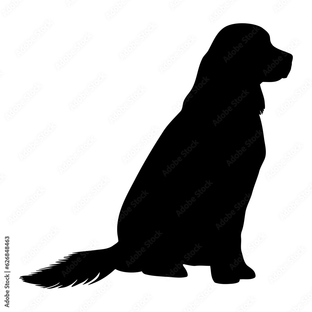 Golden retriever dog sitting silhouette. Vector illustration