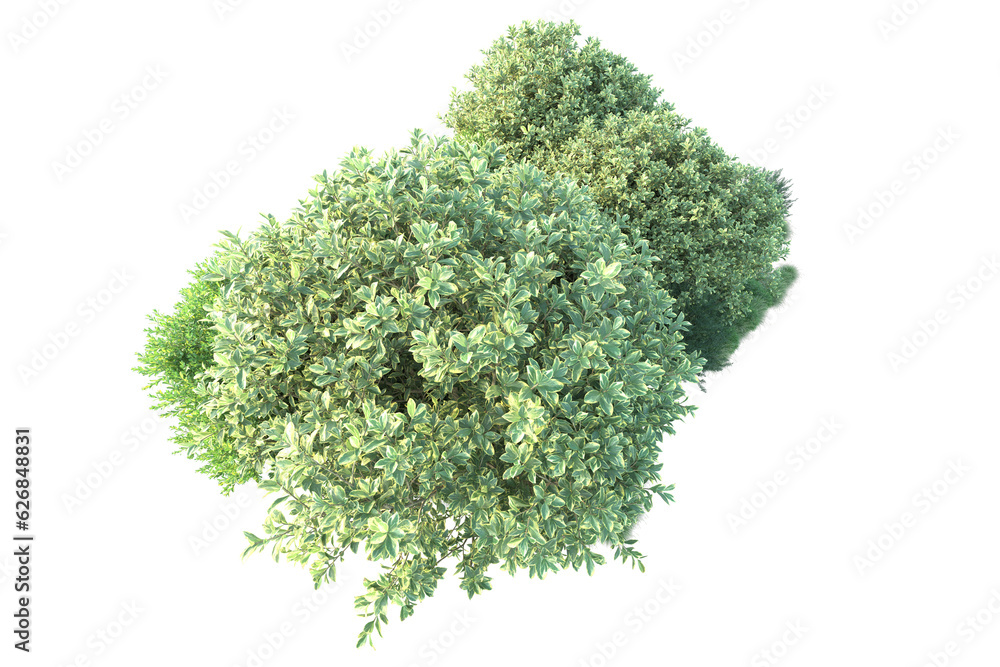 Green landscape isolated on transparent background. 3d rendering - illustration Green landscape isolated on transparent background. 3d rendering - illustration
