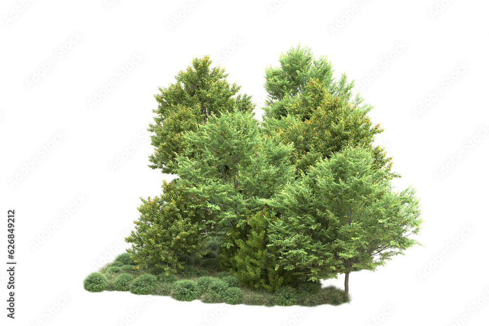 Green landscape isolated on transparent background. 3d rendering - illustration Green landscape isolated on transparent background. 3d rendering - illustration