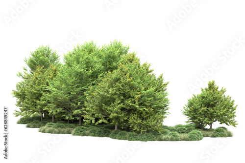 Green landscape isolated on transparent background. 3d rendering - illustration