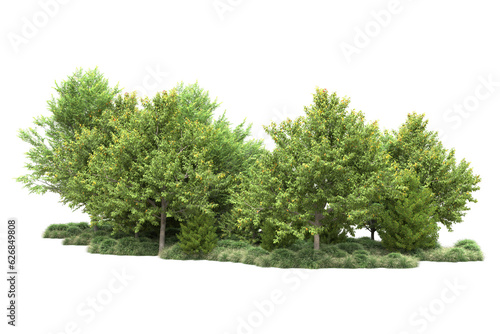 Fototapeta Green landscape isolated on transparent background