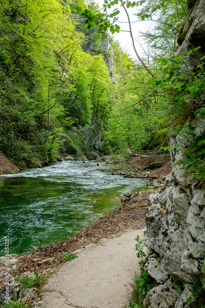the vintgar gorge in Solvenia, a nature park with waterfalls and green plants the vintgar gorge in Solvenia, a nature park with waterfalls and green plants