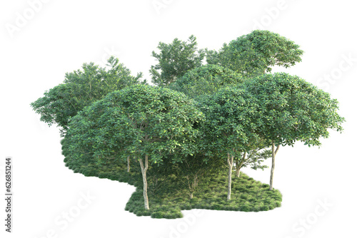 Green landscape isolated on transparent background. 3d rendering - illustration