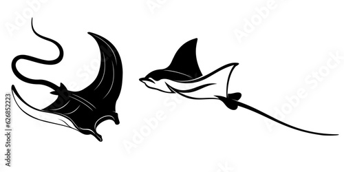 illustration of a stingray