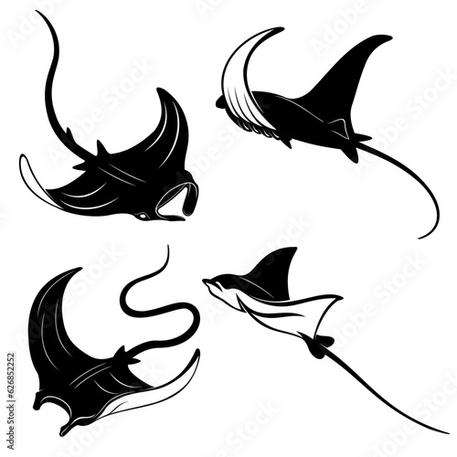 Fotografia silhouette of a stingray