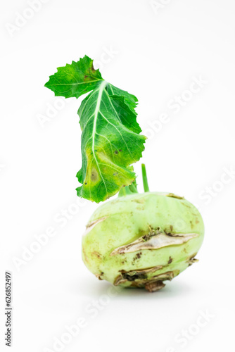 Kohlrabi photo