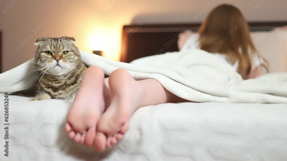 A cat on a bed under a blanket with a girl. A cat on a bed under a blanket with a girl.