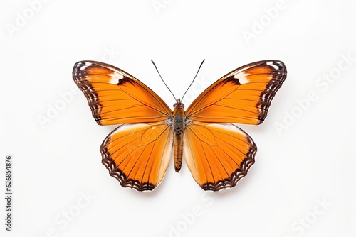 A beautiful butterfly isolated on white background. Butterfly. Generative Ai