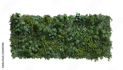 plant garden vertical on a transparent background