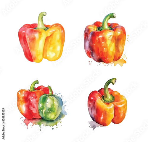 Bell pepper watercolor paint