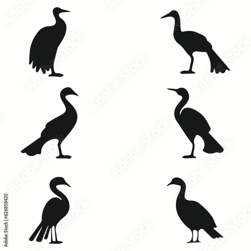 Dodo silhouettes and icons. Black flat color simple elegant Dodo animal vector and illustration.