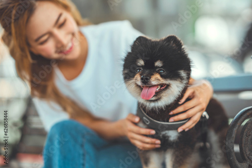 Happy asian woman playing with dog together in park outdoors  summer vacation. 