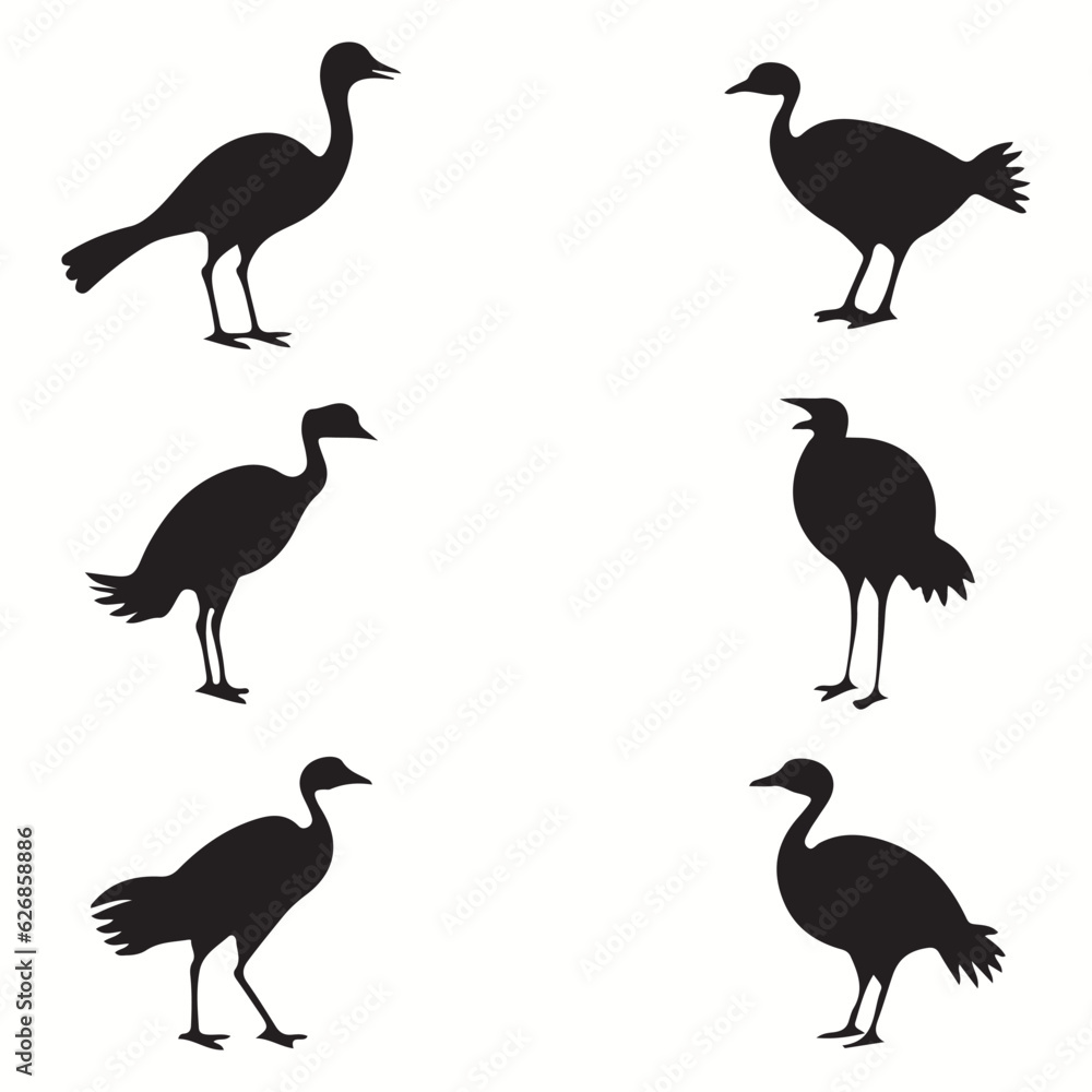 Fototapeta premium Dodo silhouettes and icons. Black flat color simple elegant Dodo animal vector and illustration.
