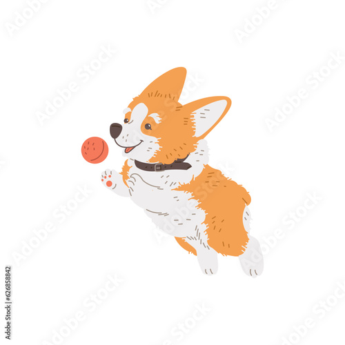 Cartoon Corgi purebred breed of furry dog jumping for the ball, cute smiling corgi puppy fun to play vector illustration