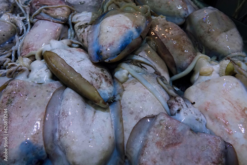 Sale of squids from the Persian Gulf at the bazaar in Abu Dhabi. photo