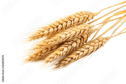 Ear of Wheat Spikelet Isolated on Transparent Background. Generative AI