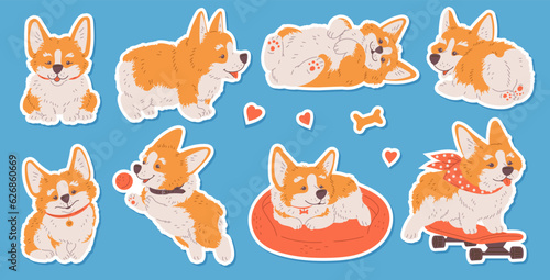 Cartoon Corgi puppy dog in various poses, enjoy ride on skateboard, caressing, playing lovely pets character set on blue