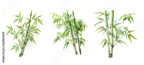 plant bamboo tree watercolor ai generated