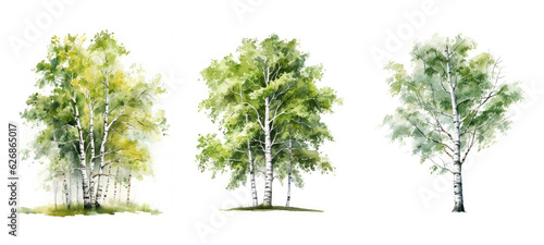 background birch tree watercolor ai generated