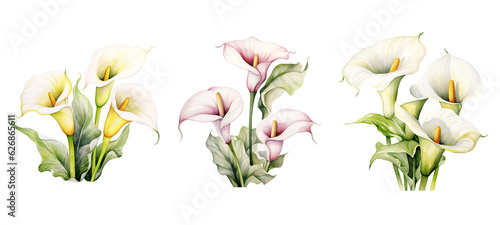 vintage calla lily flowers watercolor ai generated