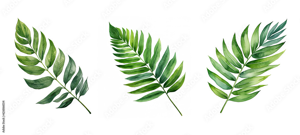 palm chamaedorea leaf watercolor ai generated
