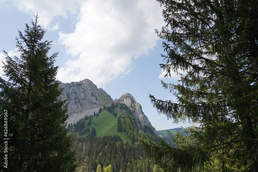 Mountain called Mythen located in Swiss Alps, in canton Schwyz. There are trees framing the capture from right and left side. 